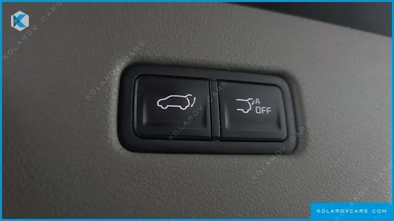 KIA CARNIVAL GASOLINE 9-SEATER HI-LIMOUSINE