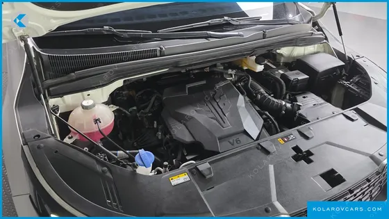 KIA CARNIVAL GASOLINE 7-SEATER HI-LIMOUSINE