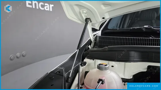 KIA CARNIVAL GASOLINE 7-SEATER HI-LIMOUSINE