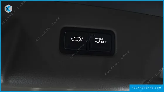 KIA CARNIVAL GASOLINE 7-SEATER HI-LIMOUSINE