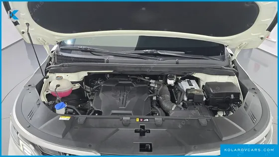 KIA CARNIVAL GASOLINE 9-SEATER HI-LIMOUSINE