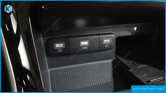 KIA CARNIVAL GASOLINE 9-SEATER HI-LIMOUSINE