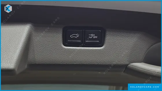KIA CARNIVAL GASOLINE 9-SEATER HI-LIMOUSINE