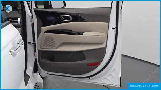KIA CARNIVAL GASOLINE 9-SEATER HI-LIMOUSINE