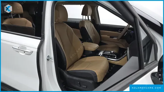 KIA CARNIVAL GASOLINE 9-SEATER SIGNATURE