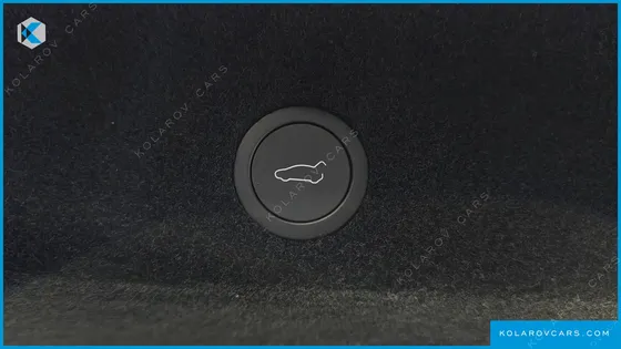 TESLA MODEL Y L LONG RANGE AWD