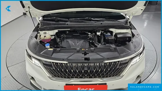 KIA CARNIVAL GASOLINE 9-SEATER SIGNATURE