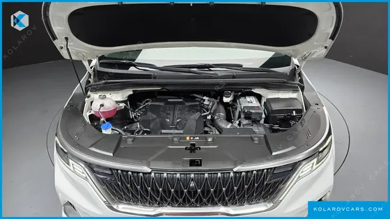 KIA CARNIVAL GASOLINE 7-SEATER HI-LIMOUSINE