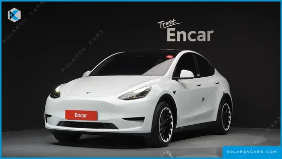 TESLA MODEL Y RWD