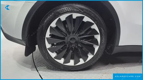 TESLA MODEL Y RWD
