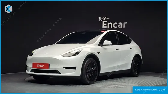 TESLA MODEL Y RWD