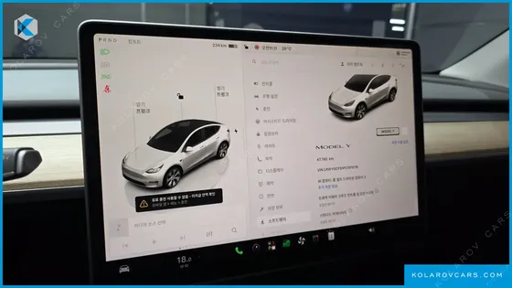 TESLA MODEL Y RWD