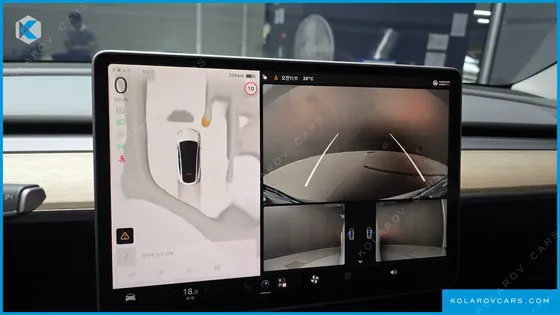 TESLA MODEL Y RWD