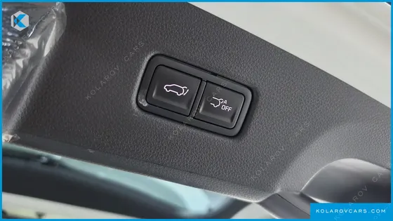KIA CARNIVAL GASOLINE 9-SEATER SIGNATURE