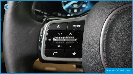 KIA CARNIVAL GASOLINE 11-SEATER SIGNATURE