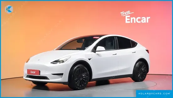 TESLA MODEL Y RWD