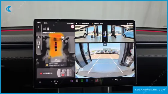 TESLA MODEL Y RWD