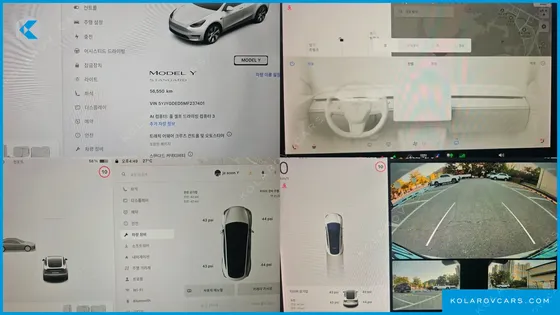 TESLA MODEL Y STANDARD RANGE RWD