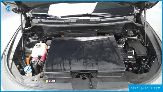 KIA NIRO EARTH