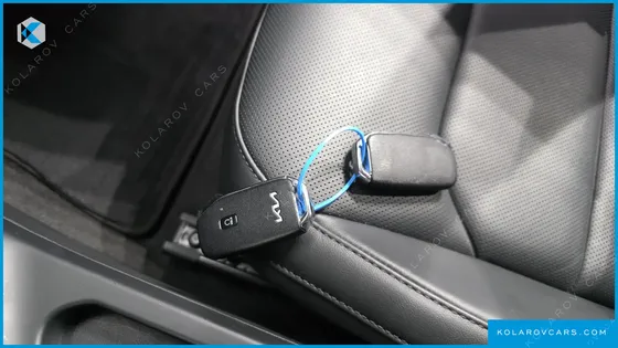 KIA NIRO EARTH