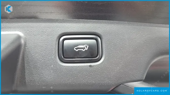 KIA NIRO EARTH