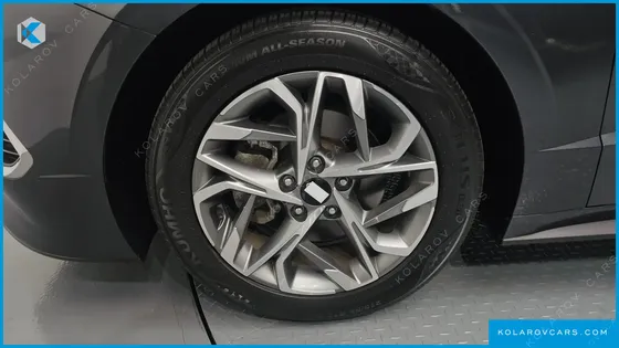 HYUNDAI SONATA 2.0 LPG(DISABLED PERSON)