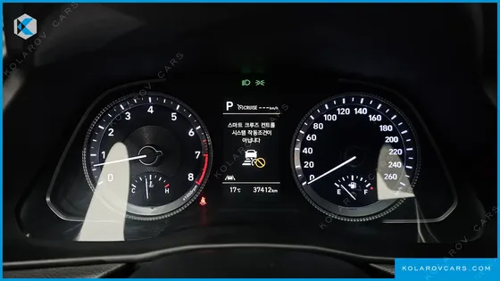 HYUNDAI SONATA 2.0 LPG(DISABLED PERSON)