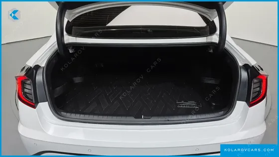 HYUNDAI SONATA 2.0 LPG(RENTAL CAR)