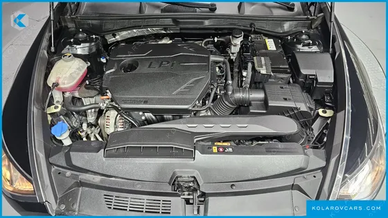 HYUNDAI SONATA 2.0 LPG(RENTAL CAR)