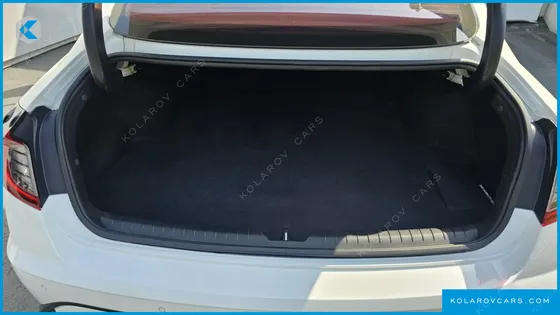 HYUNDAI SONATA 2.0 LPG(RENTAL CAR)
