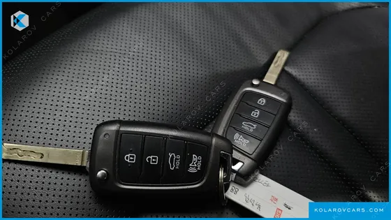 HYUNDAI SONATA 2.0 LPG(RENTAL CAR)