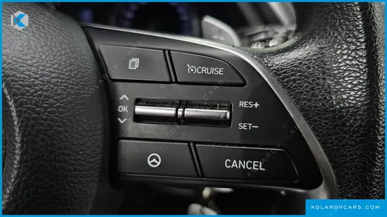 HYUNDAI SONATA 2.0 LPG(RENTAL CAR)
