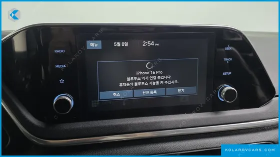 HYUNDAI SONATA 2.0 LPG(RENTAL CAR)