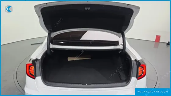 HYUNDAI SONATA 2.0 LPG(RENTAL CAR)