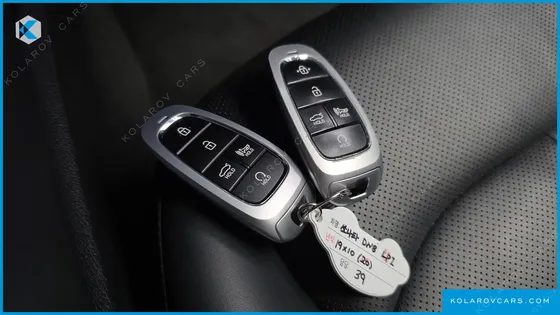 HYUNDAI SONATA 2.0 LPG(RENTAL CAR)