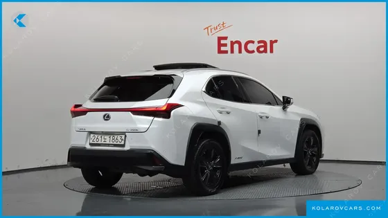 LEXUS UX 2.0 2WD