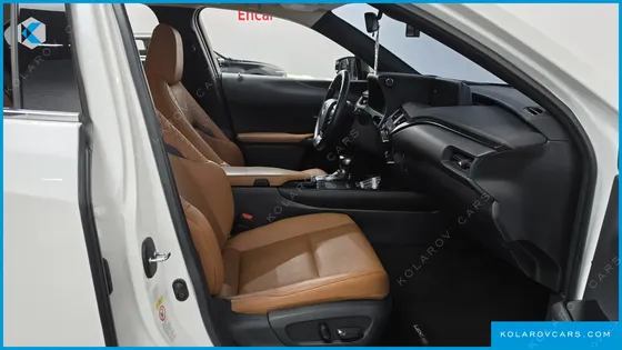 LEXUS UX 2.0 2WD