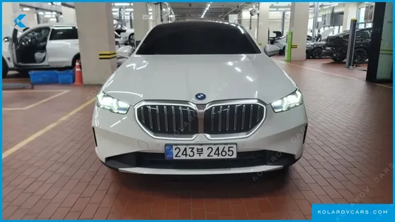 BMW 5 SERIES 530E