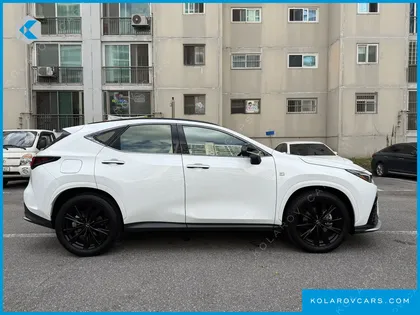 LEXUS NX F-SPORT