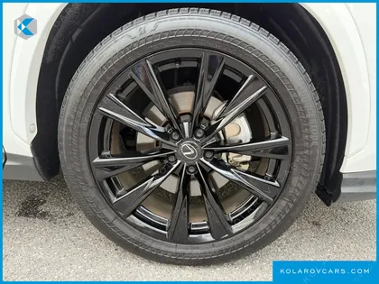 LEXUS NX F-SPORT