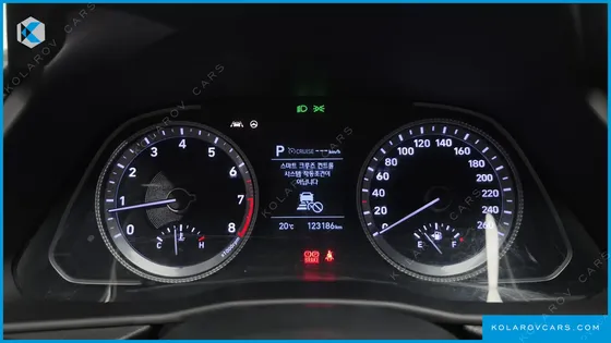 HYUNDAI SONATA 2.0 LPG(RENTAL CAR)