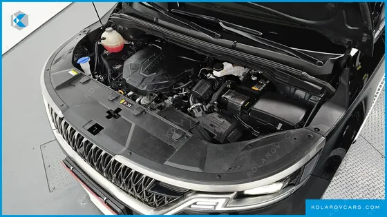 KIA CARNIVAL DIESEL 7-SEATER HI-LIMOUSINE