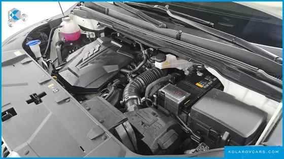 KIA CARNIVAL GASOLINE 9-SEATER SIGNATURE