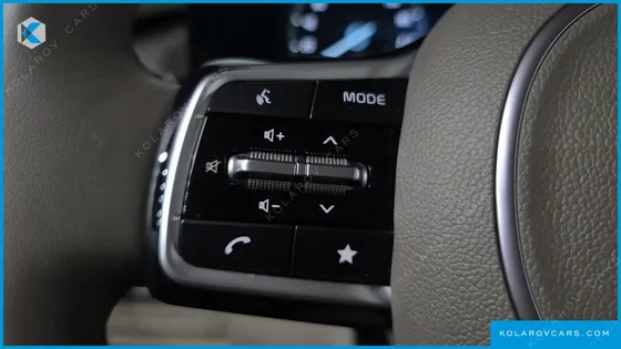 KIA CARNIVAL GASOLINE 9-SEATER SIGNATURE