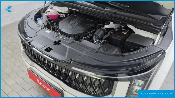 KIA CARNIVAL DIESEL 7-SEATER OUTDOOR