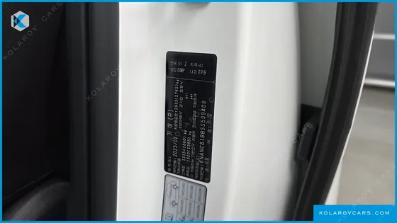 KIA CARNIVAL DIESEL 7-SEATER OUTDOOR
