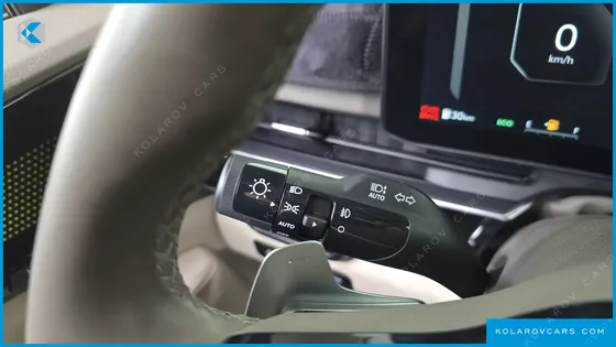 KIA CARNIVAL GASOLINE 9-SEATER GRAVITY