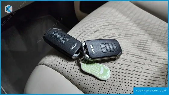 KIA CARNIVAL GASOLINE 9-SEATER HI-LIMOUSINE