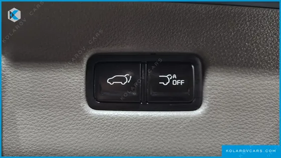 KIA CARNIVAL GASOLINE 9-SEATER HI-LIMOUSINE