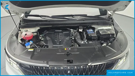 KIA CARNIVAL GASOLINE 9-SEATER SIGNATURE